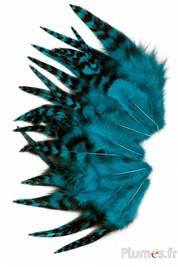 Hahn Chinchilla - 9-13 cm - petrol